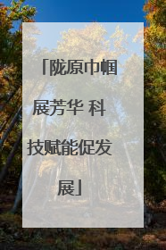 陇原巾帼展芳华 科技赋能促发展