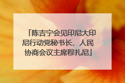 陈吉宁会见印尼大印尼行动党秘书长、人民协商会议主席穆扎尼