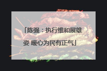 陈强：执行维和展雄姿 暖心为民有正气