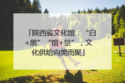 陕西省文化馆：“白+黑”“馆+景”，文化供给向美而聚