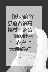 陕西府谷县府谷镇高梁村：乡货“触网出村” 农户“云端致富”