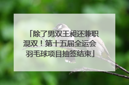 除了男双王昶还兼职混双！第十五届全运会羽毛球项目抽签结束
