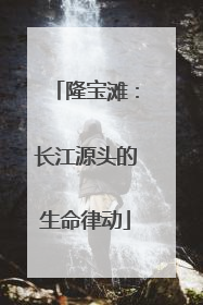 隆宝滩：长江源头的生命律动