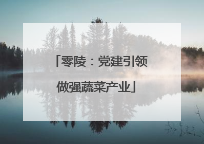 零陵：党建引领 做强蔬菜产业