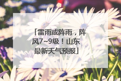 雷雨或阵雨，阵风7~9级！山东最新天气预报