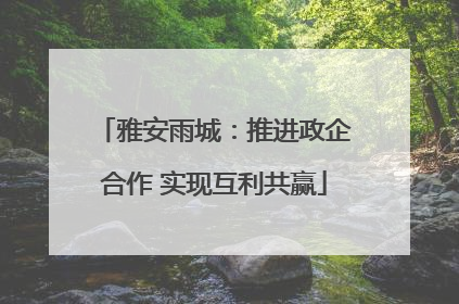 雅安雨城：推进政企合作 实现互利共赢