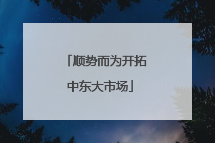 顺势而为开拓中东大市场