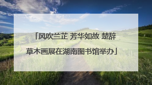 风吹兰芷 芳华如故 楚辞草木画展在湖南图书馆举办