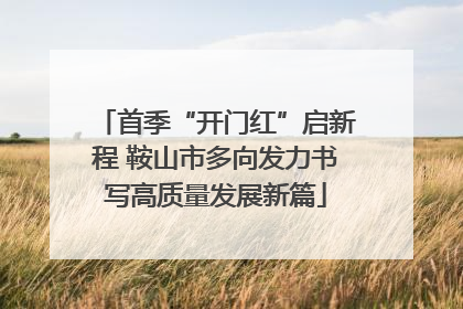 首季“开门红”启新程 鞍山市多向发力书写高质量发展新篇