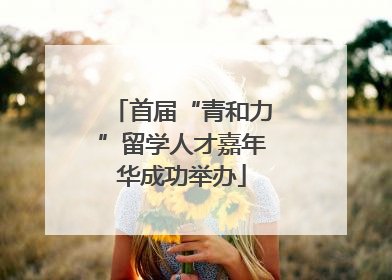 首届“青和力”留学人才嘉年华成功举办