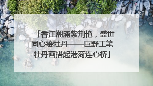 香江潮涌紫荆艳，盛世同心绘牡丹——巨野工笔牡丹画搭起港菏连心桥
