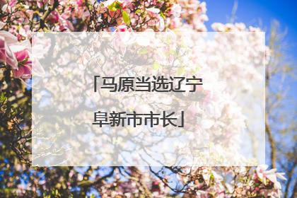 马原当选辽宁阜新市市长