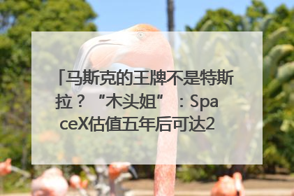 马斯克的王牌不是特斯拉？“木头姐”：SpaceX估值五年后可达2.5万亿美元！