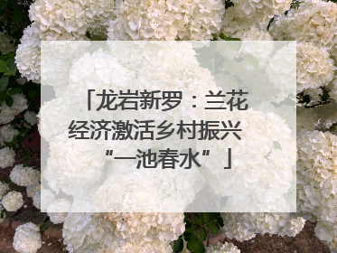 龙岩新罗：兰花经济激活乡村振兴“一池春水”