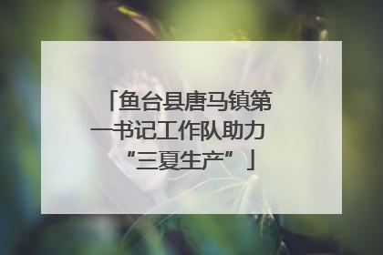 鱼台县唐马镇第一书记工作队助力“三夏生产”
