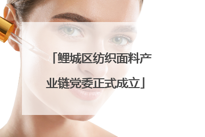 鲤城区纺织面料产业链党委正式成立