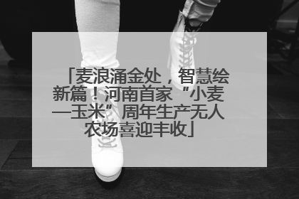 麦浪涌金处，智慧绘新篇！河南首家“小麦—玉米”周年生产无人农场喜迎丰收