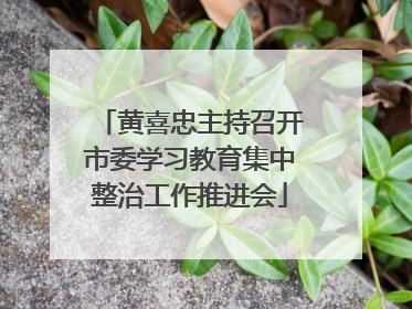 黄喜忠主持召开市委学习教育集中整治工作推进会
