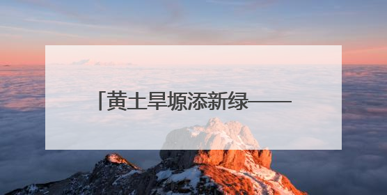 黄土旱塬添新绿——环县“三北”工程加速绘就生态新画卷