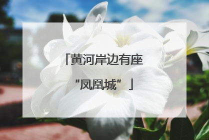 黄河岸边有座“凤凰城”