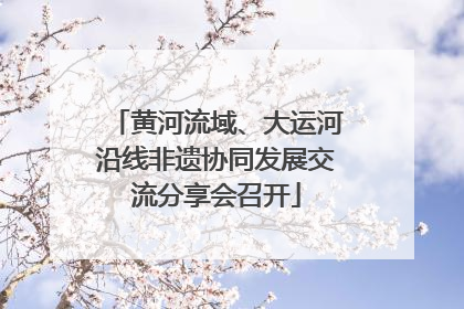 黄河流域、大运河沿线非遗协同发展交流分享会召开