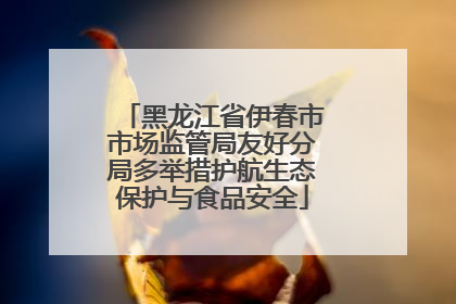 黑龙江省伊春市市场监管局友好分局多举措护航生态保护与食品安全