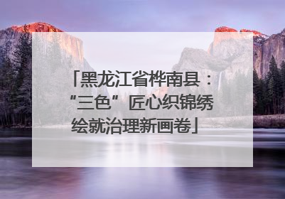 黑龙江省桦南县：“三色”匠心织锦绣 绘就治理新画卷