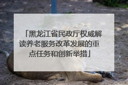 黑龙江省民政厅权威解读养老服务改革发展的重点任务和创新举措