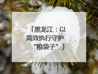 黑龙江：以高效执行守护“粮袋子”