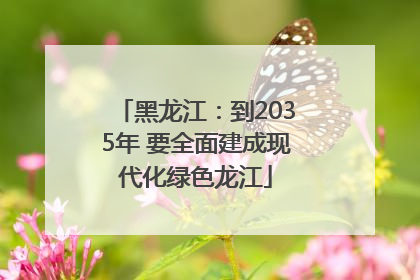 黑龙江：到2035年 要全面建成现代化绿色龙江