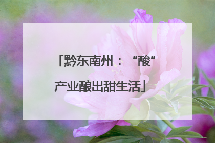 黔东南州：“酸”产业酿出甜生活