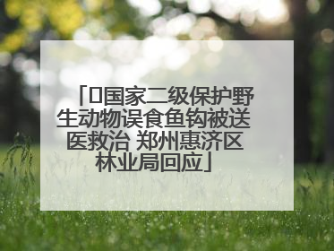 ﻿国家二级保护野生动物误食鱼钩被送医救治 郑州惠济区林业局回应