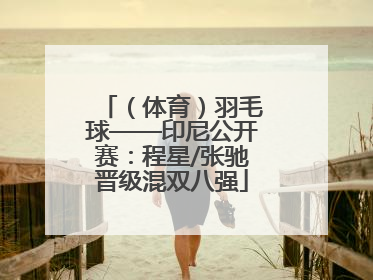（体育）羽毛球——印尼公开赛：程星/张驰晋级混双八强