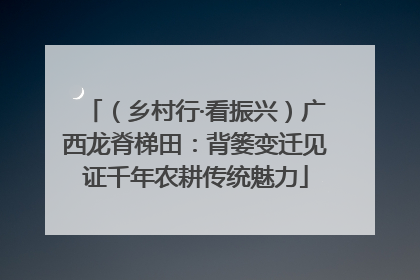 （乡村行·看振兴）广西龙脊梯田：背篓变迁见证千年农耕传统魅力