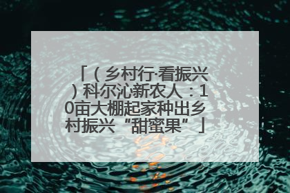 （乡村行·看振兴）科尔沁新农人：10亩大棚起家种出乡村振兴“甜蜜果”