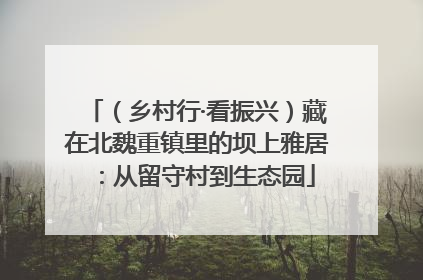（乡村行·看振兴）藏在北魏重镇里的坝上雅居：从留守村到生态园