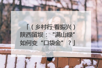 （乡村行·看振兴）陕西留坝：“满山绿”如何变“口袋金”？
