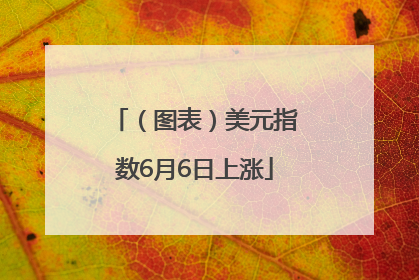 （图表）美元指数6月6日上涨