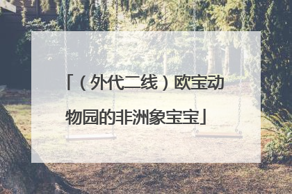 （外代二线）欧宝动物园的非洲象宝宝