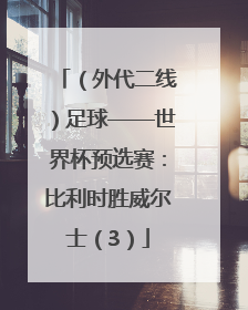 （外代二线）足球——世界杯预选赛：比利时胜威尔士（3）
