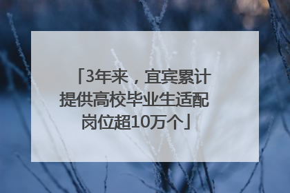 3年来，宜宾累计提供高校毕业生适配岗位超10万个