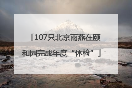 107只北京雨燕在颐和园完成年度“体检”