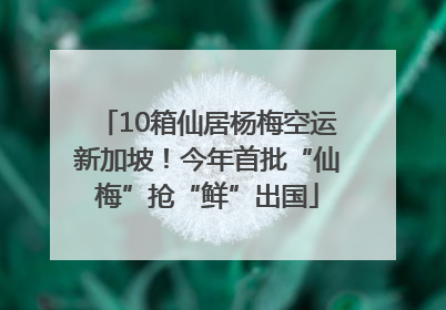 10箱仙居杨梅空运新加坡！今年首批“仙梅”抢“鲜”出国