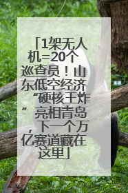 1架无人机=20个巡查员！山东低空经济“硬核王炸”亮相青岛，下一个万亿赛道藏在这里