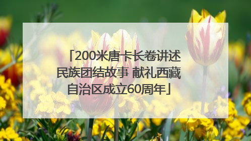 200米唐卡长卷讲述民族团结故事 献礼西藏自治区成立60周年