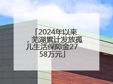 2024年以来，芜湖累计发放孤儿生活保障金2758万元