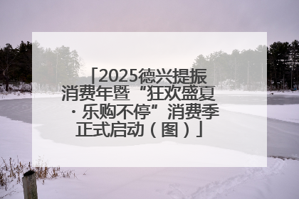 2025德兴提振消费年暨“狂欢盛夏・乐购不停”消费季正式启动（图）