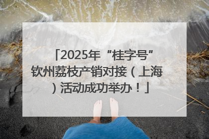 2025年“桂字号”钦州荔枝产销对接（上海）活动成功举办！
