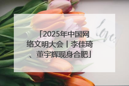 2025年中国网络文明大会丨李佳琦、董宇辉现身合肥