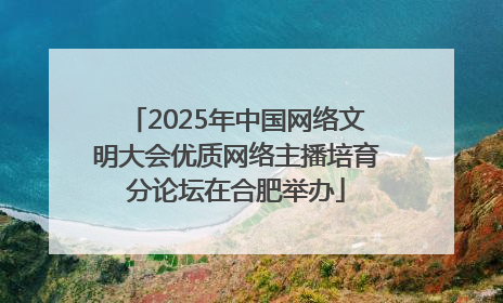 2025年中国网络文明大会优质网络主播培育分论坛在合肥举办